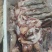 鸵鸟，鸵鸟掌，鸵鸟肉，养殖鸵鸟分割邓