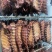 【卤味】全熟卤寸排(肉类品源头工厂,一手货源量大从优)