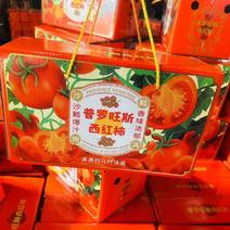 【精品】海阳西红柿普罗旺斯番茄整车落地配全国发货