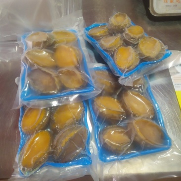 东山岛大鲍鱼，6头/斤，活冻品质，小件试样5盒包邮