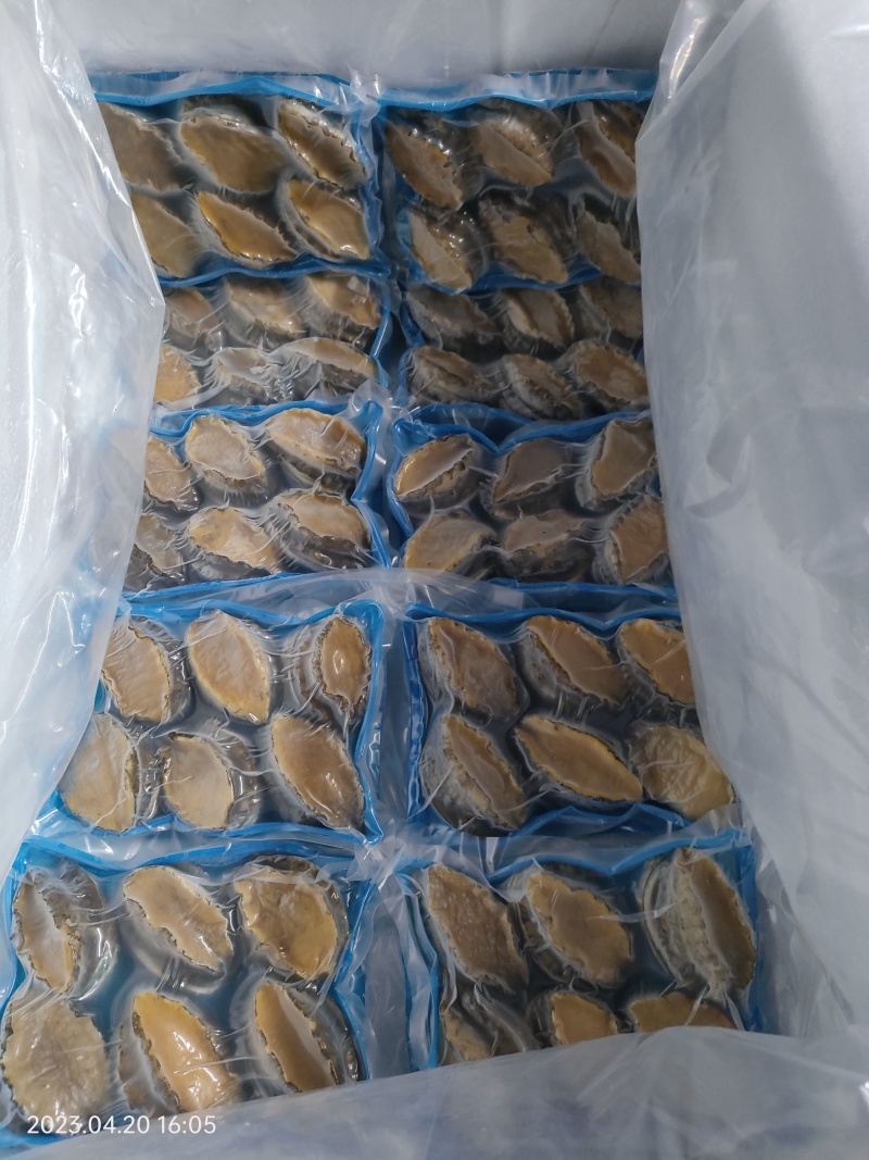 东山岛大鲍鱼，6头/斤，活冻品质，小件试样5盒包邮