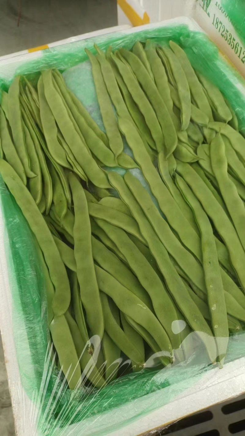 云南保山优质等级四季豆，扁豆，无筋豆，上市优惠