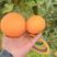 青见果冻橙大量有货欢迎全国各地板来看货