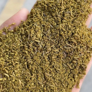 新疆孜然碎工厂直销量大质优一手货源欢迎采购电联