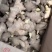 姜种子大姜种子小姜种子高产脱毒姜种大量现货货源充足