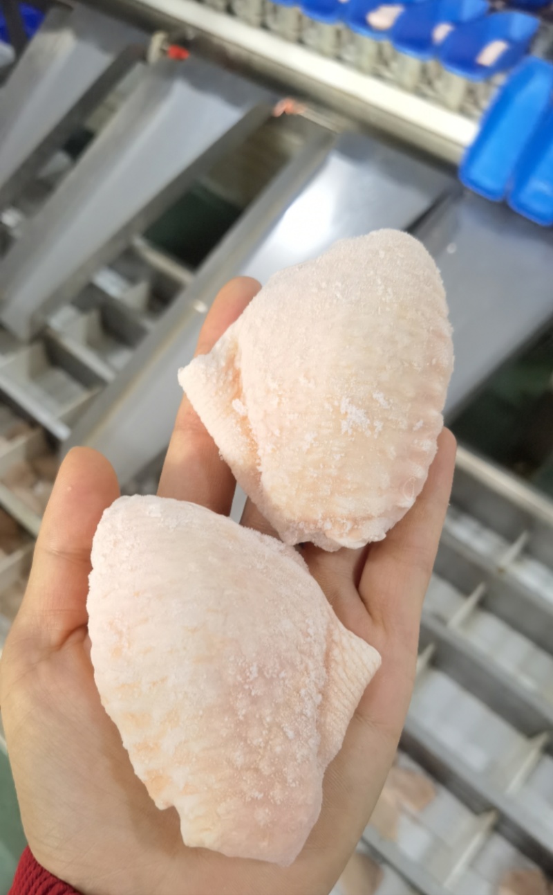 精品单冻鸡翅中一级原料制作包装精美诚招全国代理商