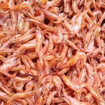 大红虾烤虾红虾