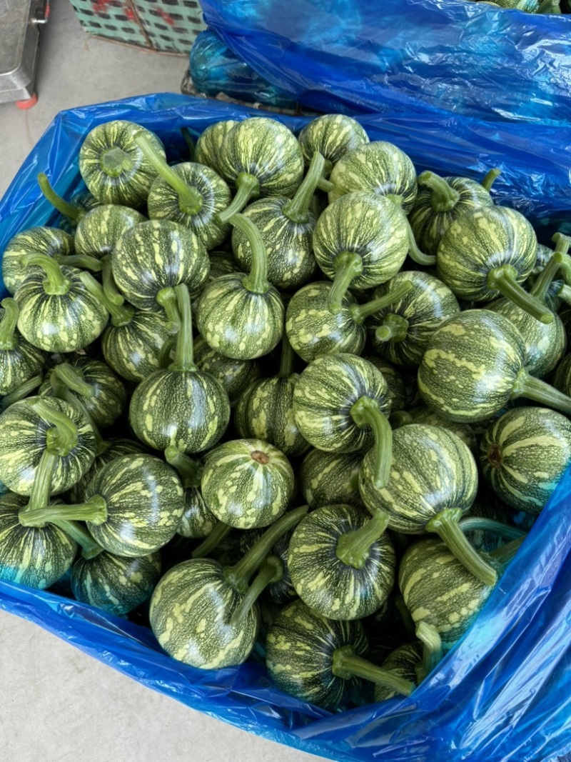 精品花南瓜大量上市长期供应，寻找长合作档口
