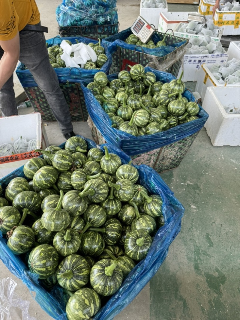 精品花南瓜大量上市长期供应，寻找长合作档口