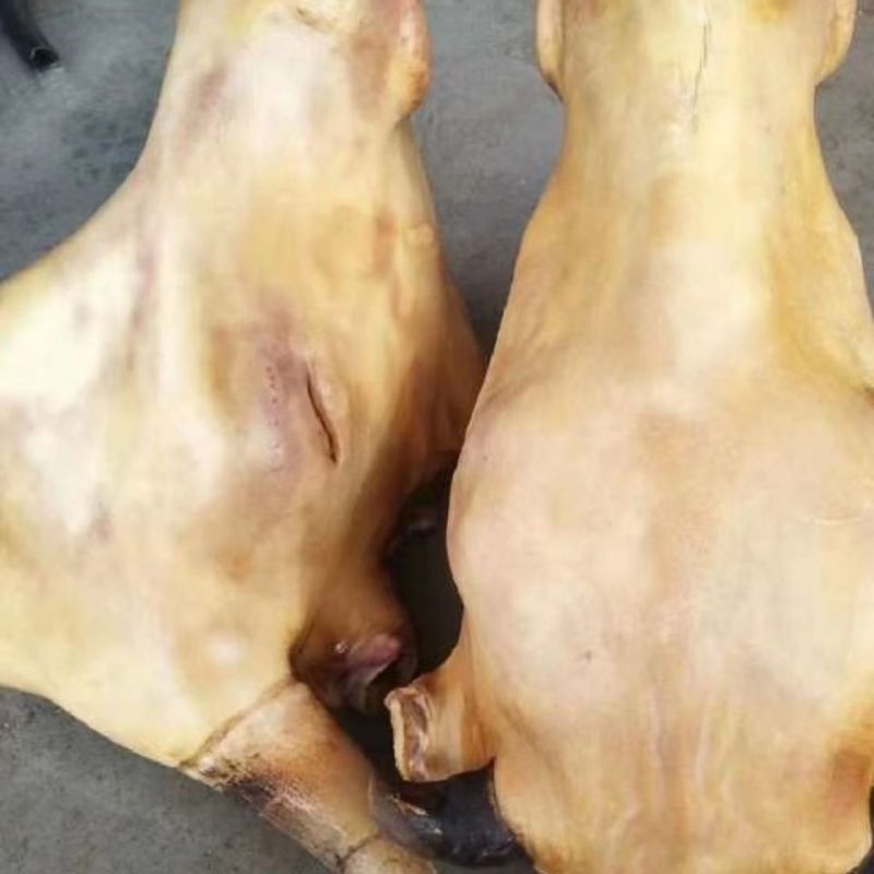 火烧母牛头大小可选【一手货源】价格实惠欢迎联系