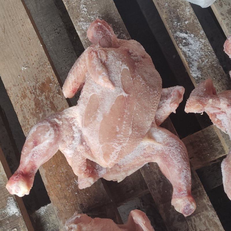 二级肉食西装有货，切块原料，需要的老板来聊，诚信经营