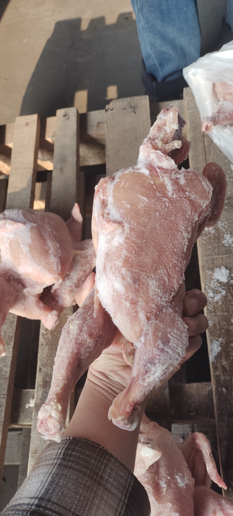 二级肉食西装有货，切块原料，需要的老板来聊，诚信经营