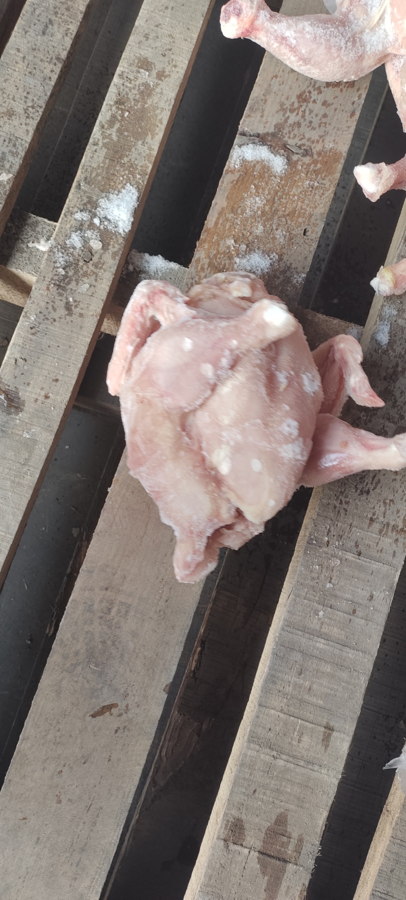 二级肉食西装有货，切块原料，需要的老板来聊，诚信经营