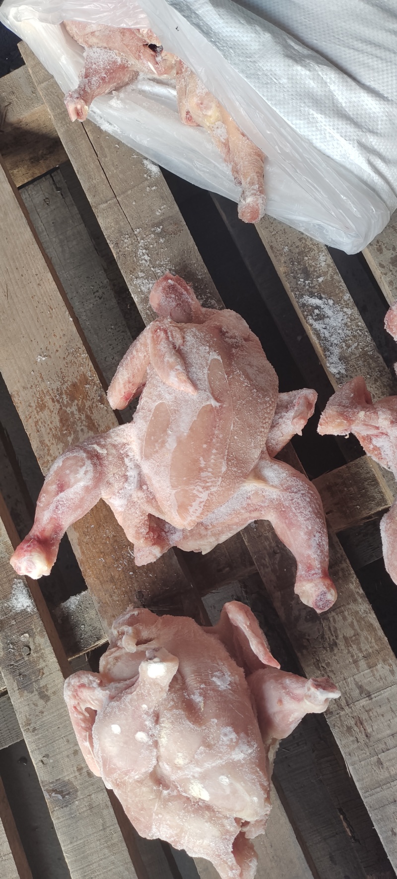 二级肉食西装有货，切块原料，需要的老板来聊，诚信经营