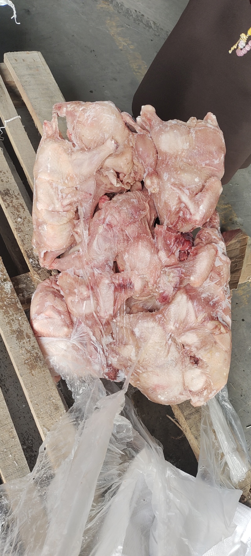 二级肉食西装有货，切块原料，需要的老板来聊，诚信经营