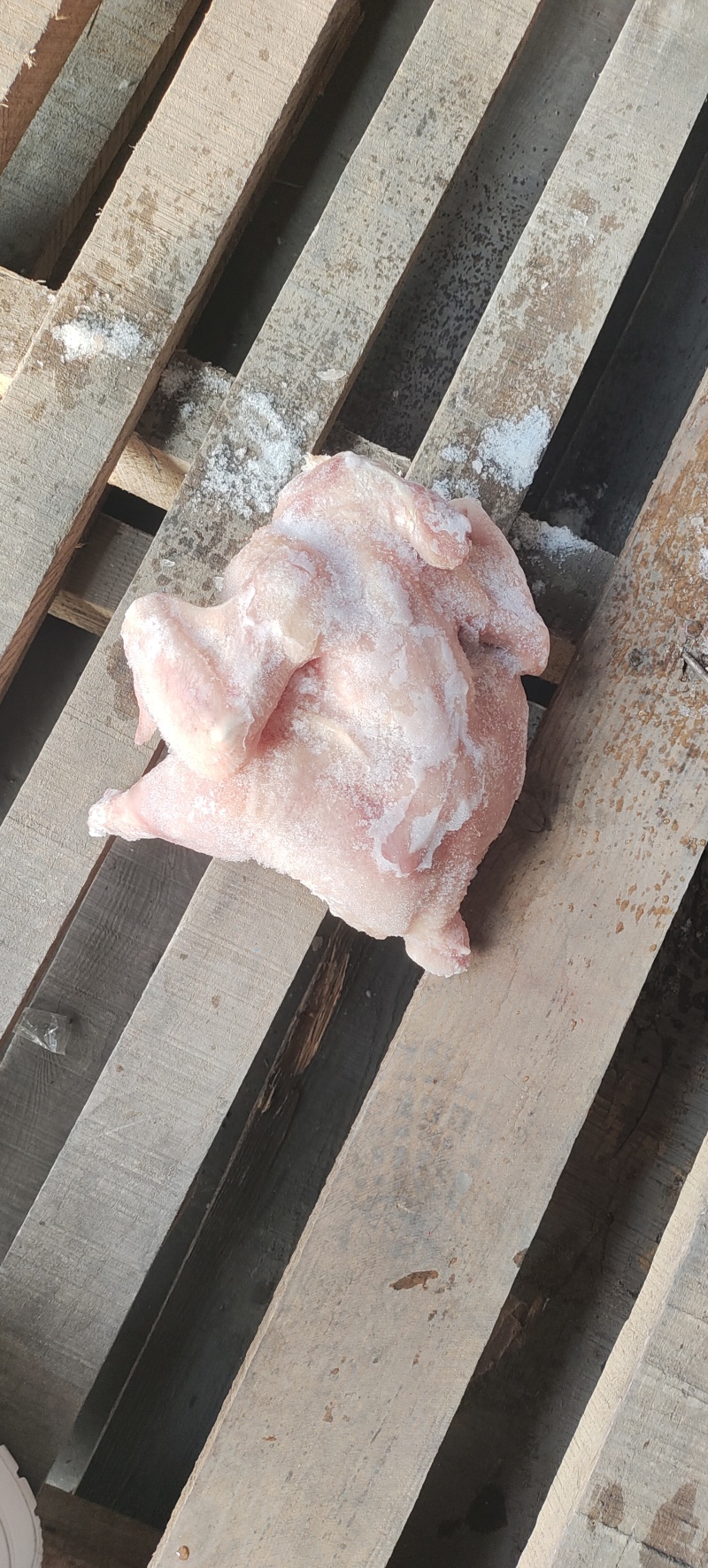 二级肉食西装有货，切块原料，需要的老板来聊，诚信经营