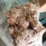 本地黄牛腰子净腰纯干