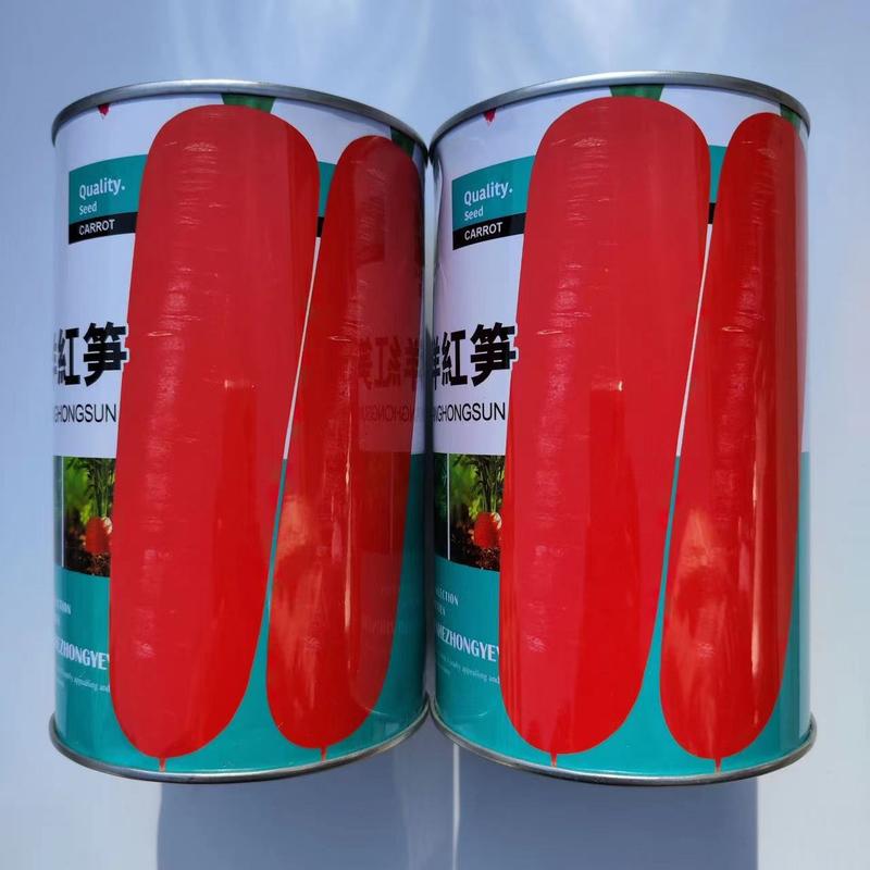 时田东洋红笋胡萝卜种子高产优质好吃桔红色胡萝卜种籽农家秋