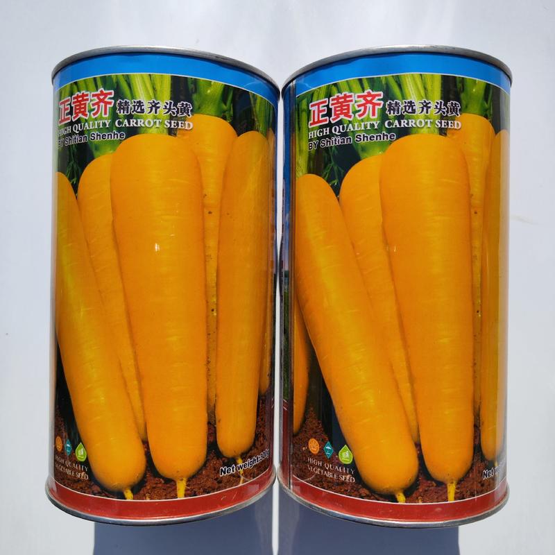 时田东洋红笋胡萝卜种子高产优质好吃桔红色胡萝卜种籽农家秋