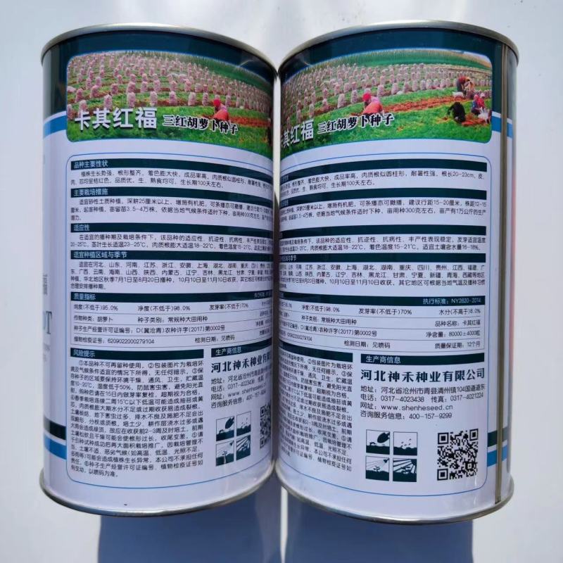 时田东洋红笋胡萝卜种子高产优质好吃桔红色胡萝卜种籽农家秋
