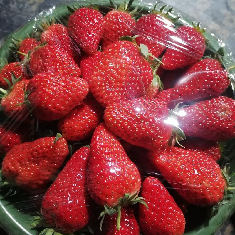 西安草莓产业园