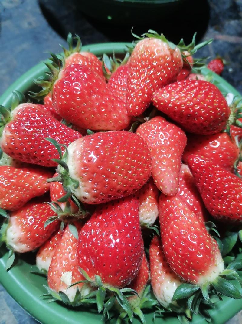 西安草莓产业园