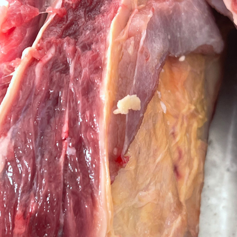 满肉牛肋排肉厚质量好【可视频看货】厂家直发证件齐全