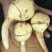 云南高原白肉茨菇，慈姑，500亩专业种植基地自产自销