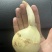 云南高原白肉茨菇，慈姑，500亩专业种植基地自产自销