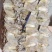 浙江半盐干一斤10-13个一手货源，自产自销