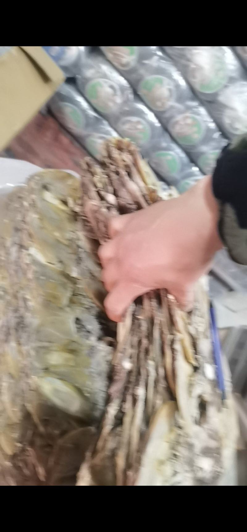 浙江半盐干一斤10-13个一手货源，自产自销