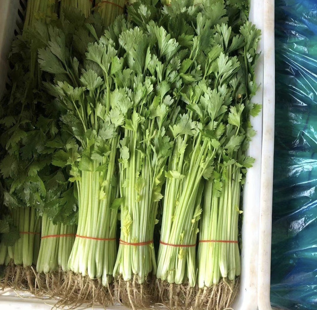 香芹和花生米摆放在案板上
