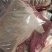 带皮鲜矿肉