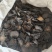 肉苁蓉硬大云祥泰药材栈中药材批发零售实物拍摄量多从优