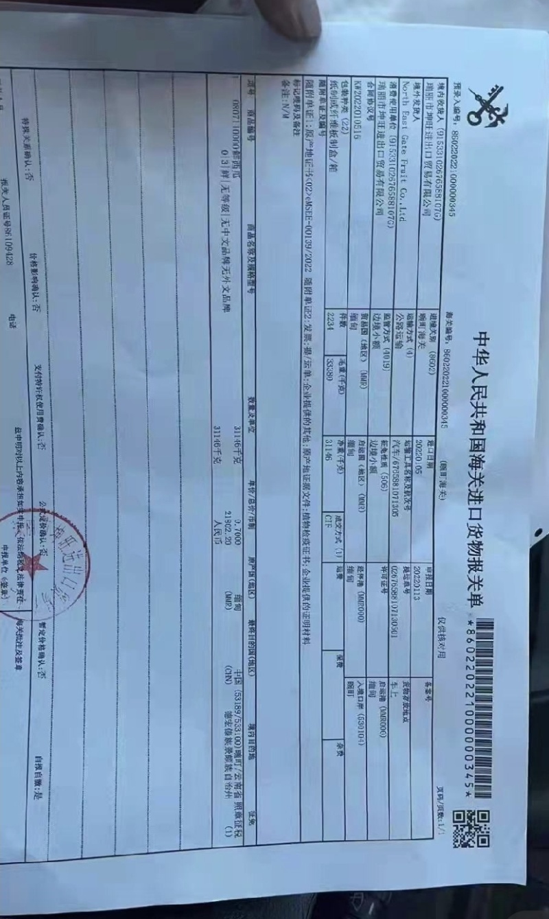 【实力推荐】缅甸黄河蜜，甜瓜，皮薄肉厚甜度高，产地直供！