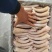猪尾巴，短尾，中尾，长尾