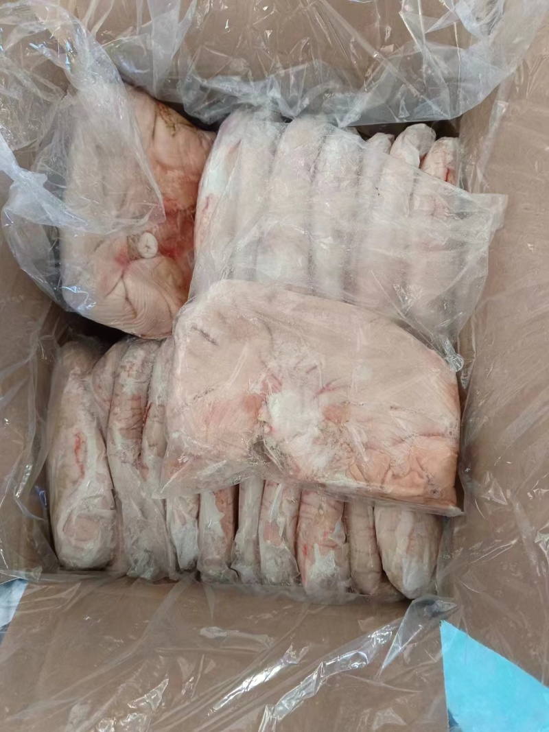 纯干猪猪肚