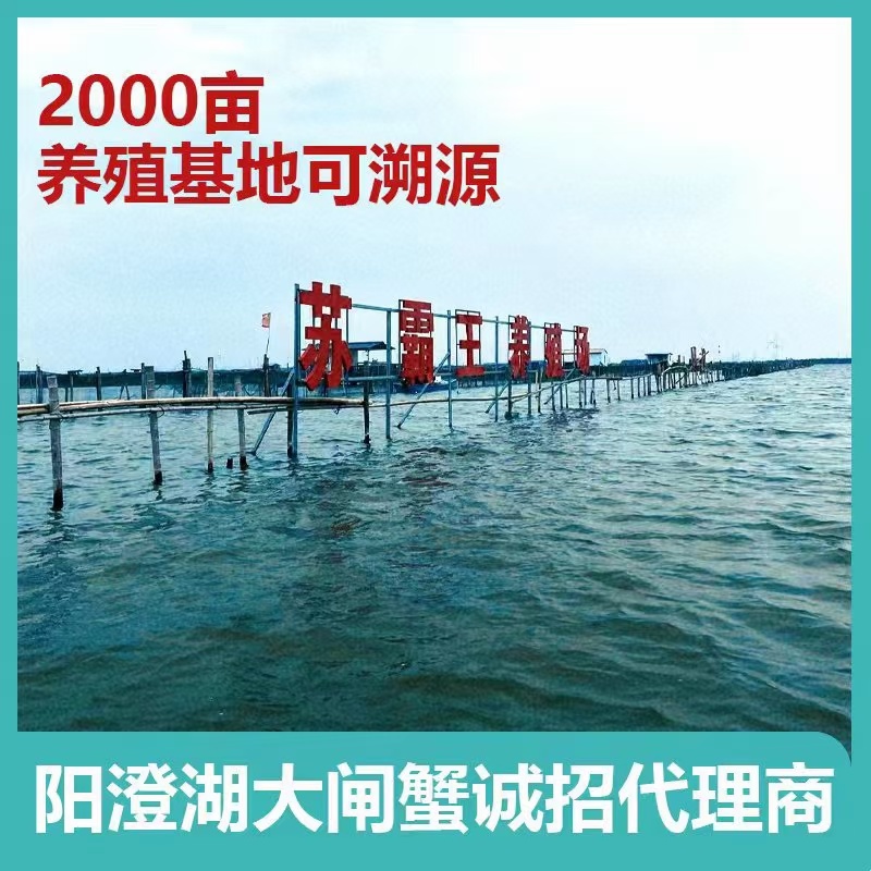 苏霸王阳澄湖大闸蟹25年新品上市送礼**企业团购集采劵卡