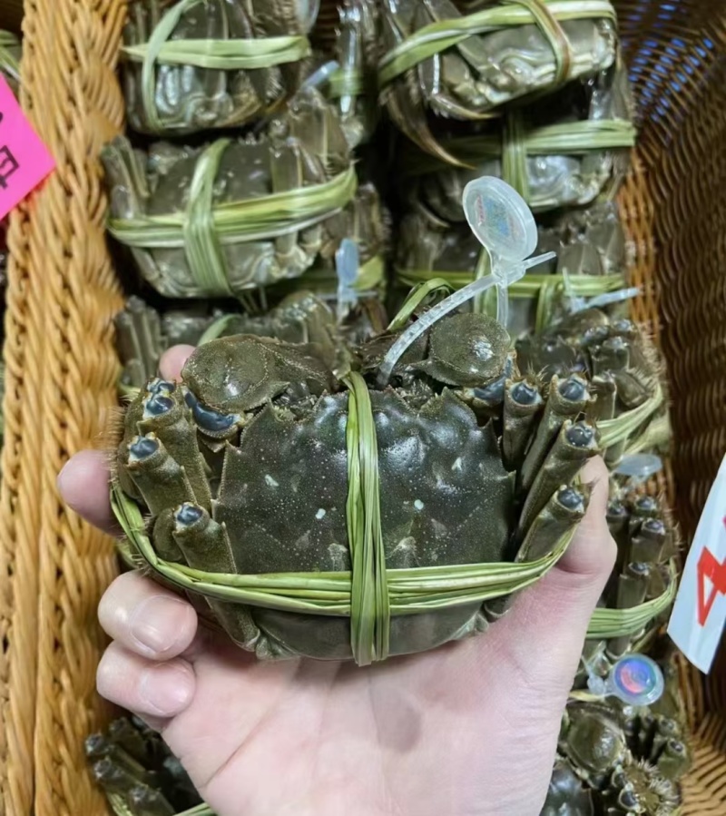 苏霸王阳澄湖大闸蟹25年新品上市送礼**企业团购集采劵卡