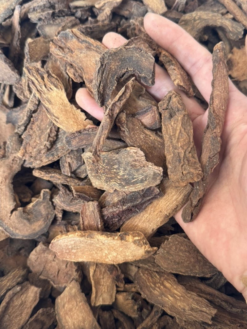锁阳个锁阳保庆药业批发金锁阳锁阳片新货
