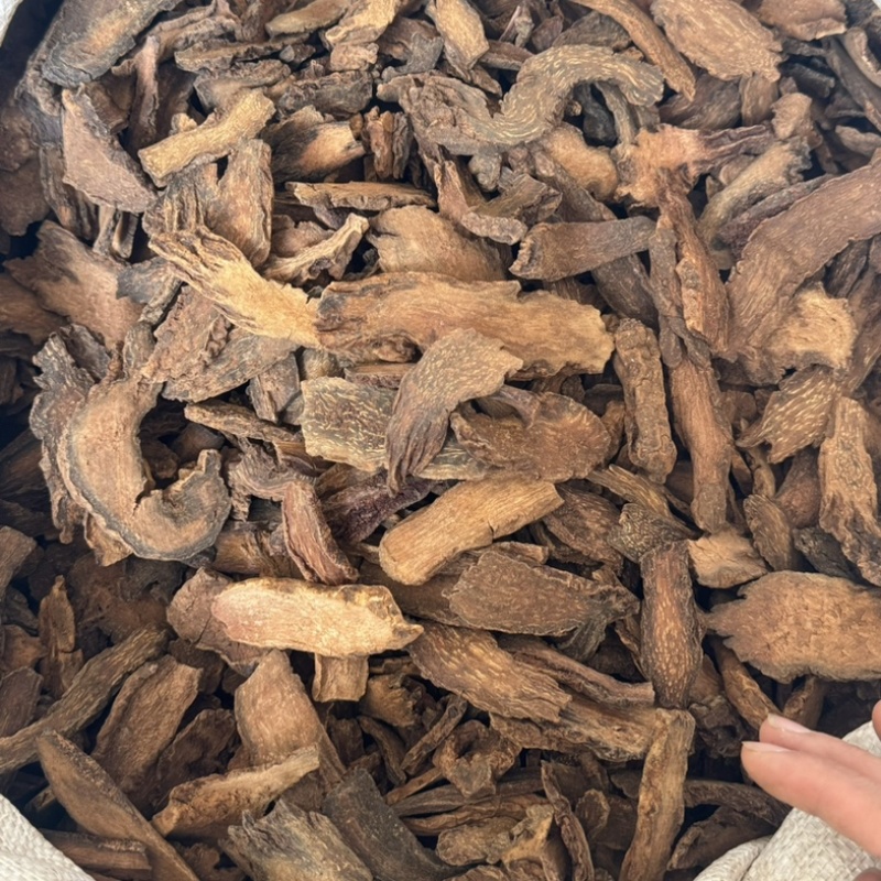 锁阳个锁阳保庆药业批发金锁阳锁阳片新货