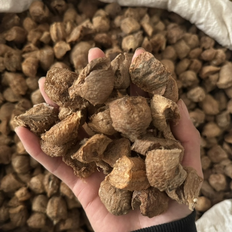 桑螵蛸熟桑螵蛸保庆药业桑螵蛸大棉