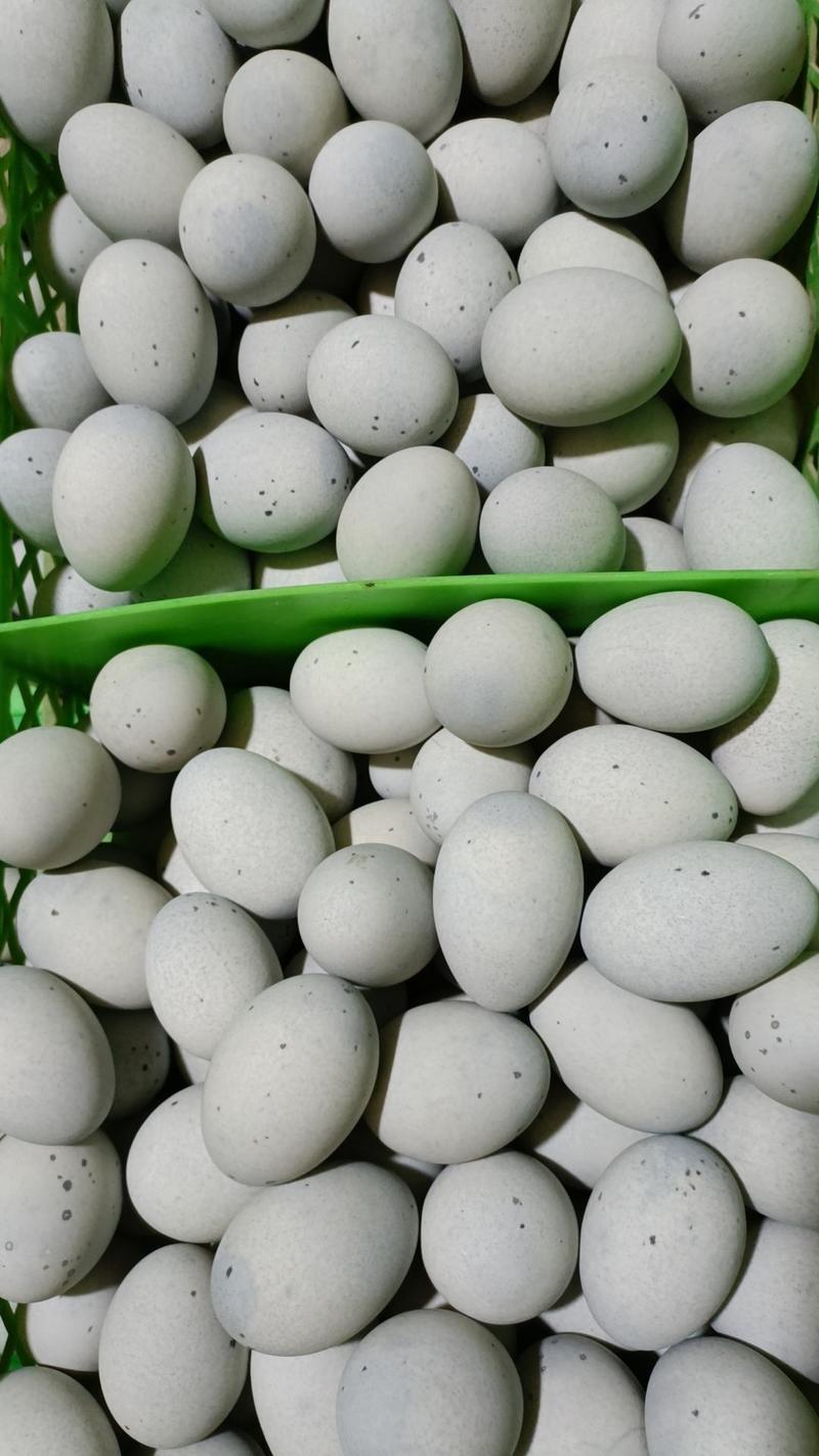 河北保定咸鸭蛋大量供应，厂家直发量大从优一手货源各种规格