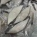 鳕鱼扁鳕鱼切片3片/斤肉质细嫩清蒸香煎酒店餐厅批发