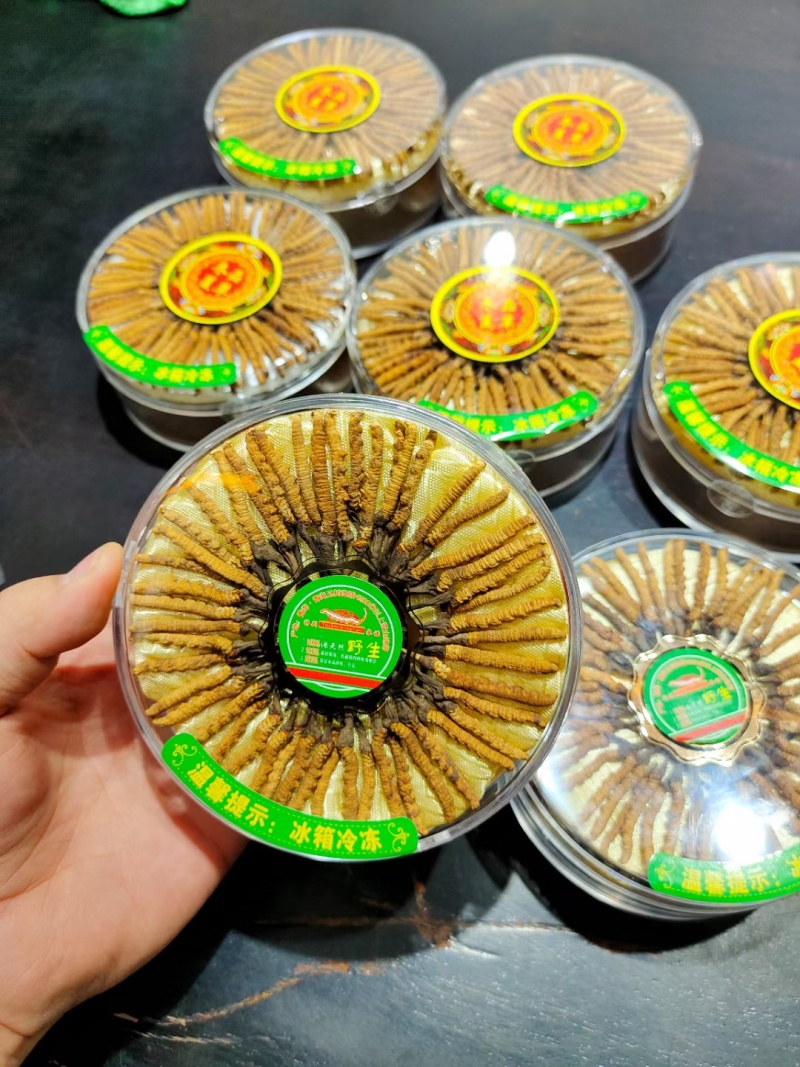 冬虫夏草那曲野生精品，礼盒装，送礼自用，原产地批发零售