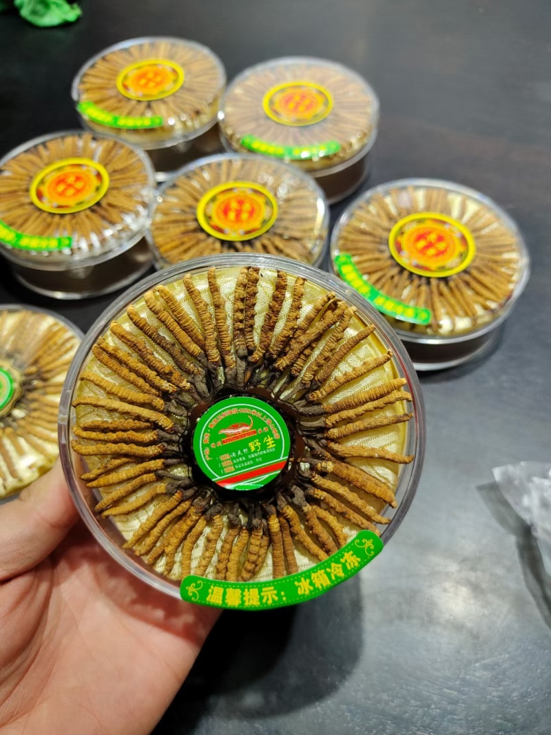 冬虫夏草那曲野生精品，礼盒装，送礼自用，原产地批发零售