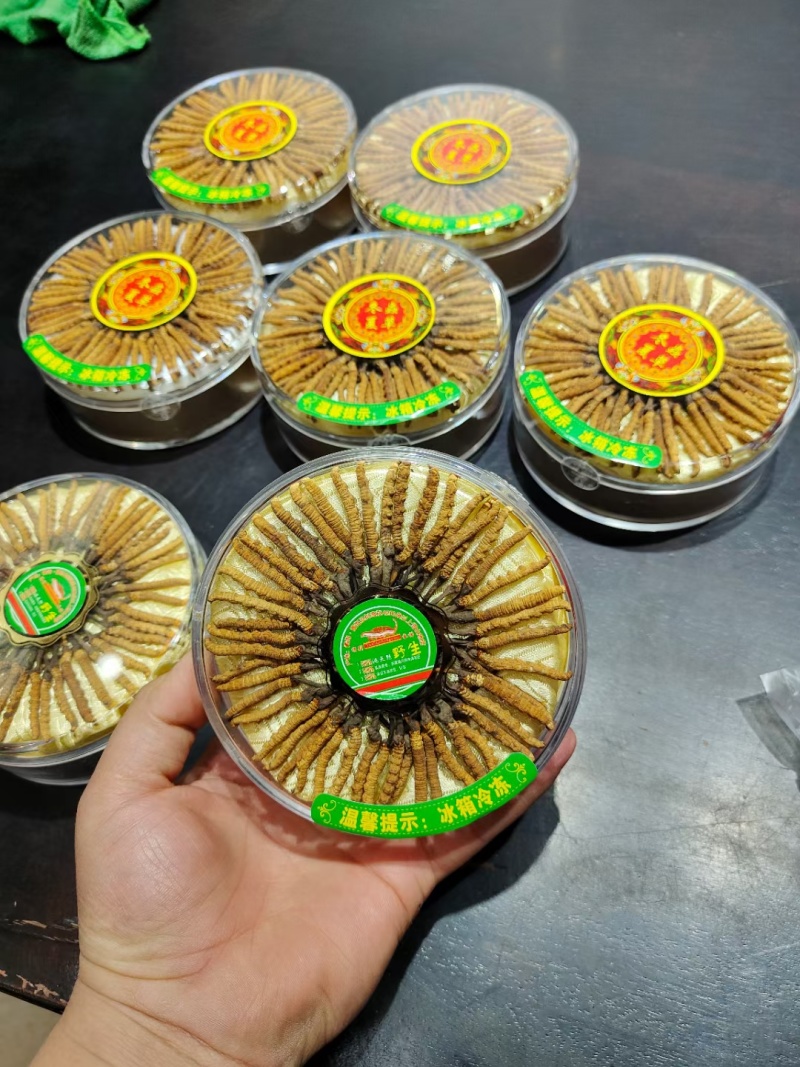 冬虫夏草那曲野生精品，礼盒装，送礼自用，原产地批发零售