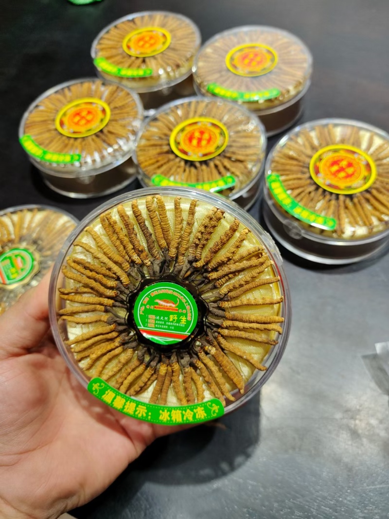 冬虫夏草那曲野生精品，礼盒装，送礼自用，原产地批发零售