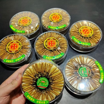 冬虫夏草那曲野生精品，礼盒装，送礼自用，原产地批发零售