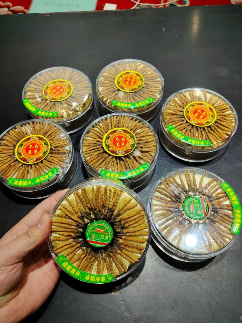 冬虫夏草那曲野生精品，礼盒装，送礼自用，原产地批发零售